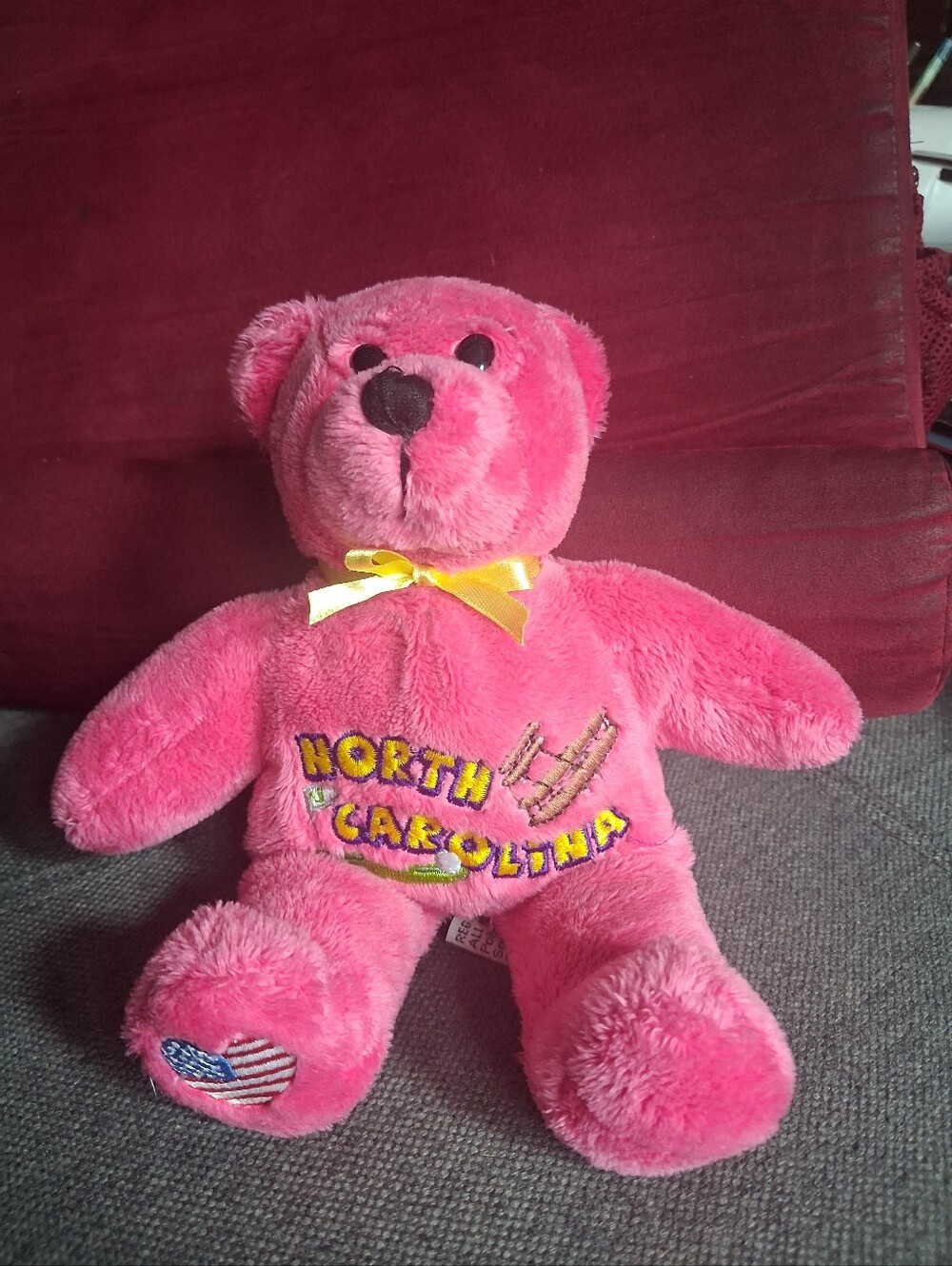 Symbolz North Carolina Pink Plush Teddy Bear with Embroidered Design